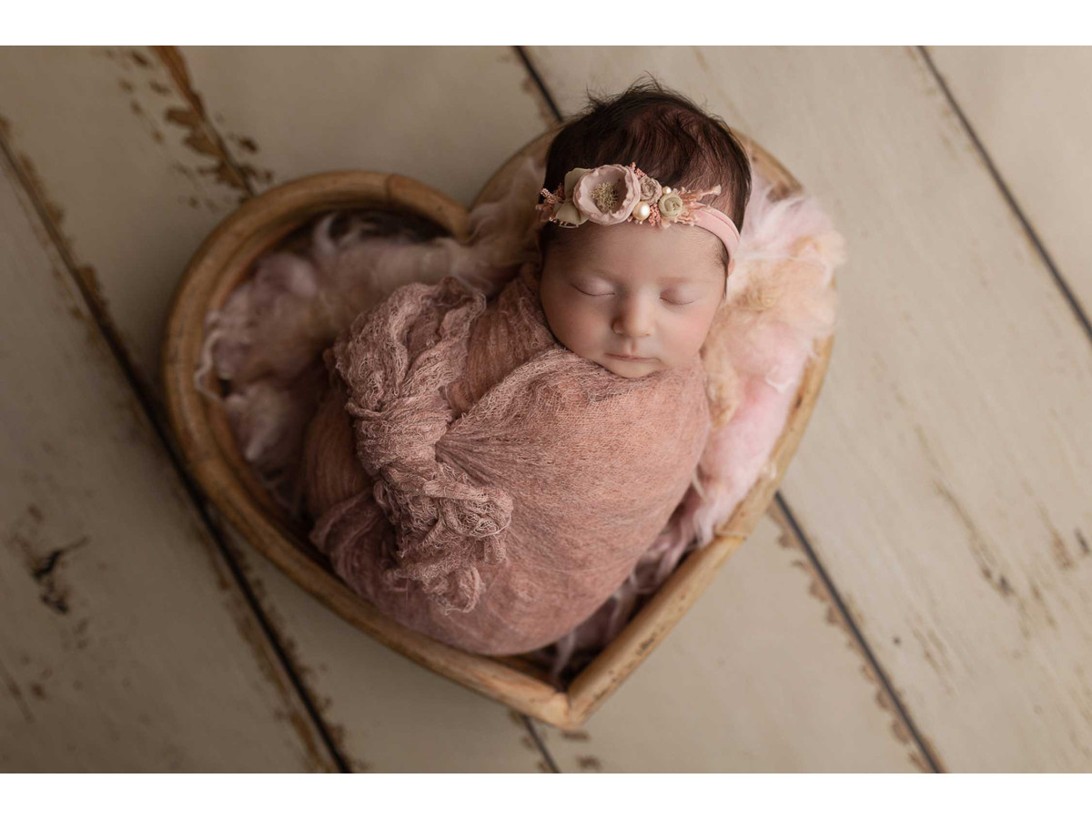 Sol photo Hilton – planches de bois beige clair blanchi | Colors&Drops