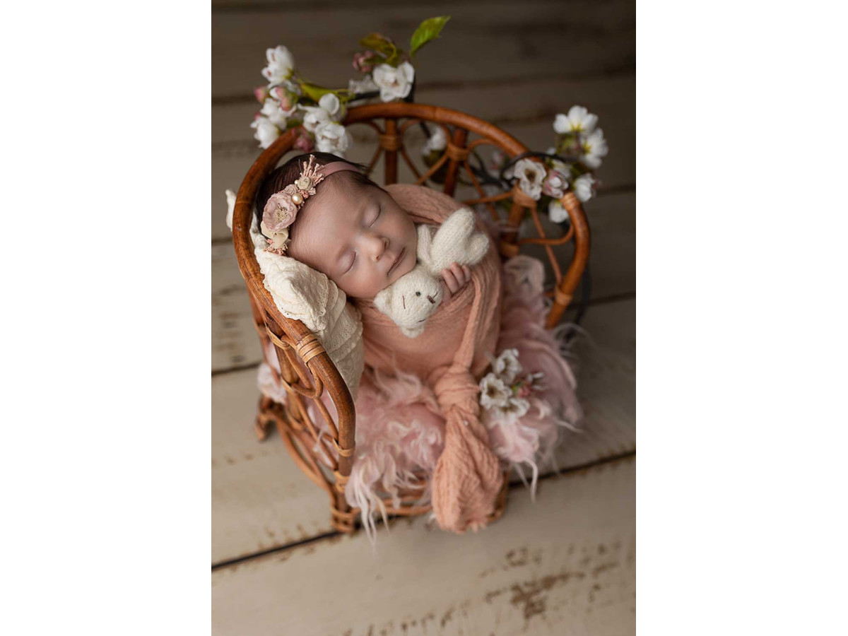 Sol photo Hilton – planches de bois beige clair blanchi | Colors&Drops