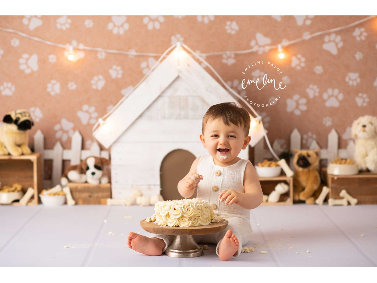 Fond photo bébé et smash cake Paw – niche blanche sur papier peint pattes de chien | Colors&Drops