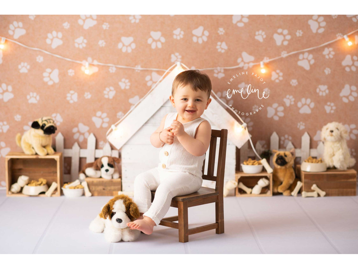 Fond photo bébé et smash cake Paw – niche blanche sur papier peint pattes de chien | Colors&Drops