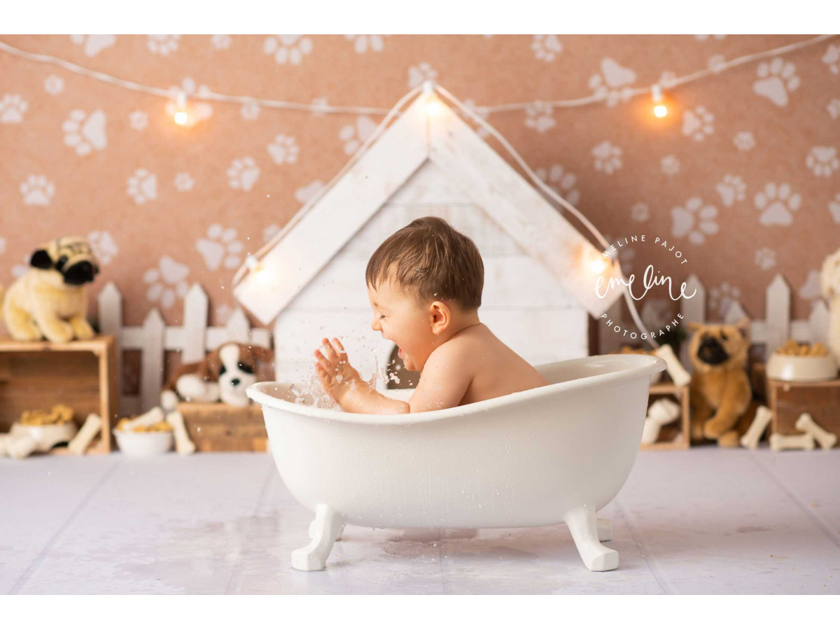 Fond photo bébé et smash cake Paw – niche blanche sur papier peint pattes de chien | Colors&Drops