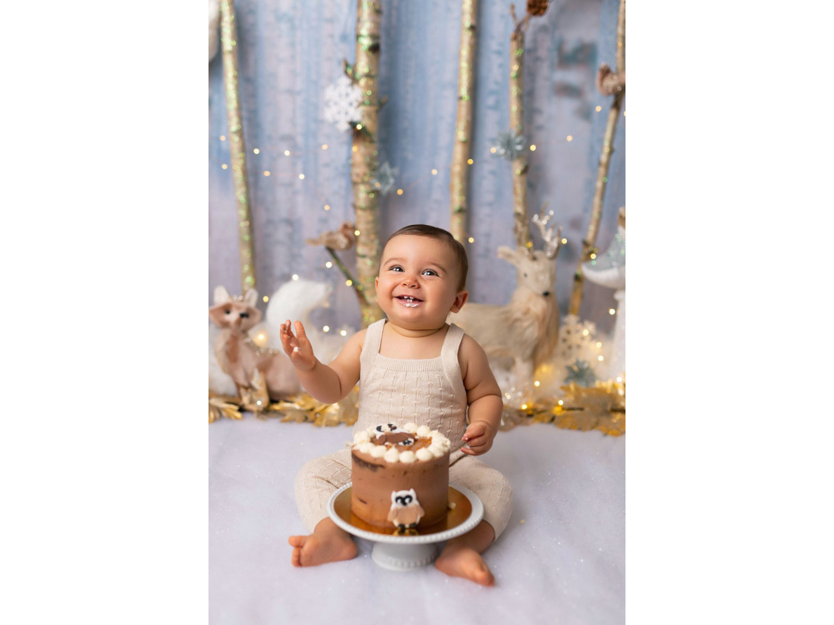 Fond photo bébé et smash cake Foret des Bois – forêt de bouleaux avec cerf, hibou et champignons | Colors&Drops