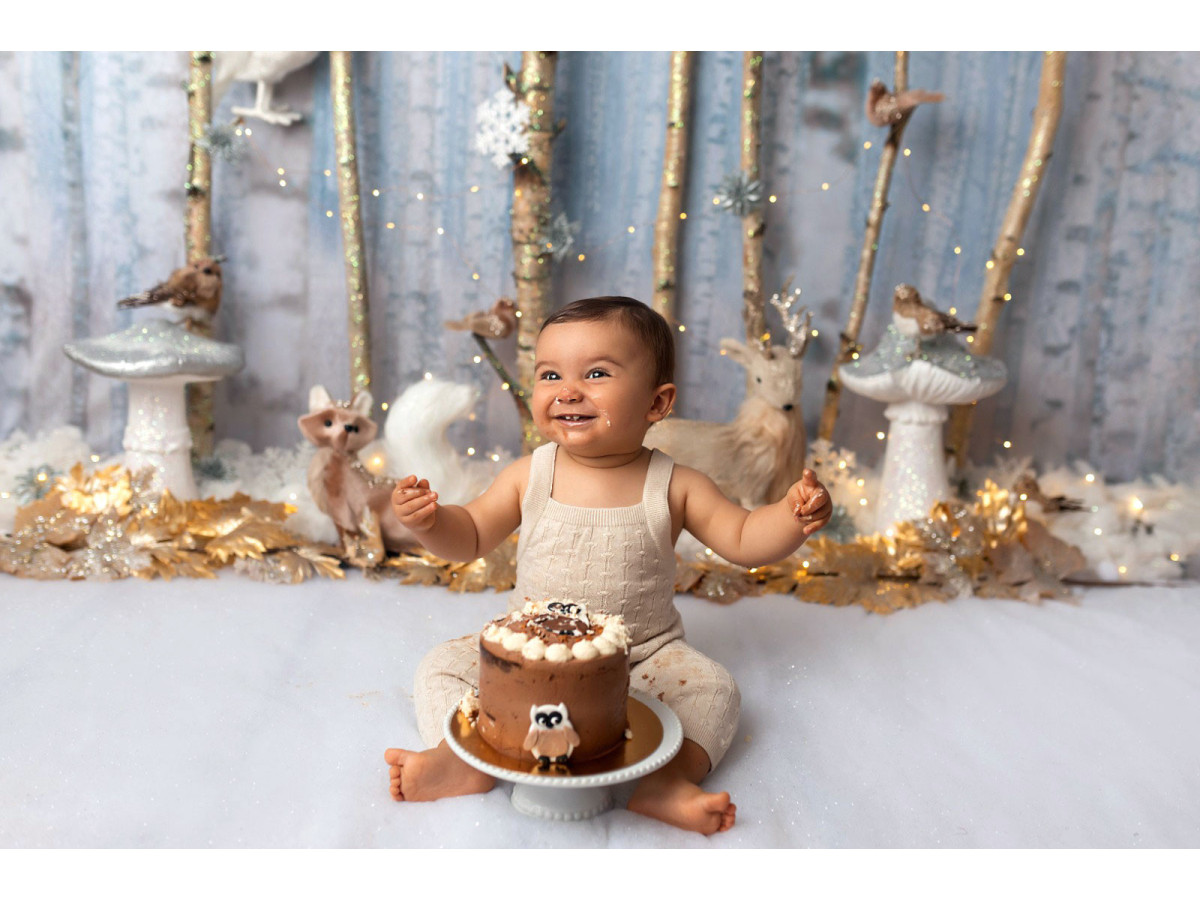 Fond photo bébé et smash cake Foret des Bois – forêt de bouleaux avec cerf, hibou et champignons | Colors&Drops
