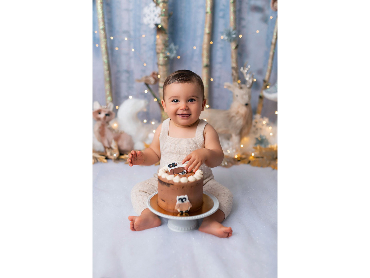 Fondo fotográfico de bebé y smash cake Foret des Bois – bosque de abedules con ciervo, búho y setas | Colors&Drops