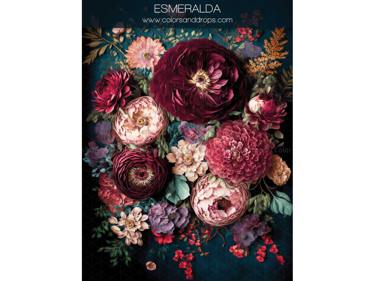 Fond photo grossesse et portrait Esmeralda – bouquet de pivoines bordeaux et roses sur fond noir | Colors&Drops