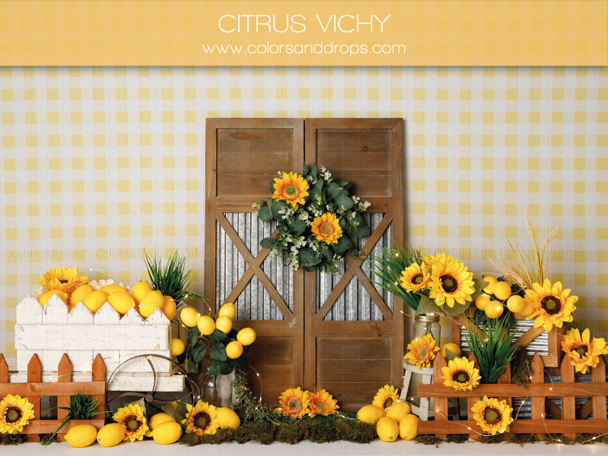 Fond photo bébé et smash cake Citrus Vichy – mur vichy jaune avec porte en bois, tournesols et citrons | Colors&Drops
