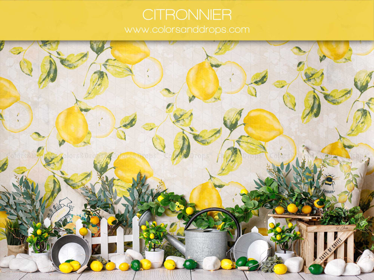 Fond photo bébé et smash cake Citronnier – papier peint citrons avec plantes et clôture blanche | Colors&Drops