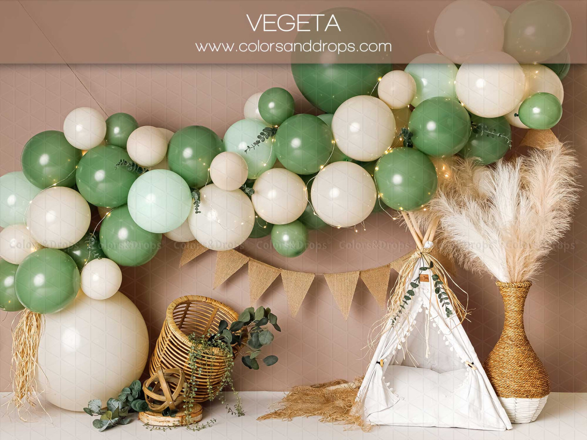 Fond photo bébé et smash cake Vegeta – ballons verts et crème avec tipi et pampa | Colors&Drops