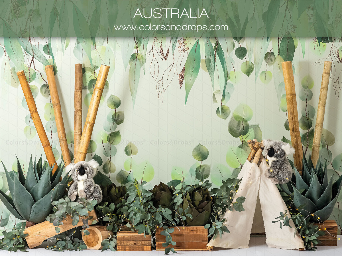 Fond photo bébé et smash cake Australia – décor Australie avec bambous, koalas et tipi | Colors&Drops
