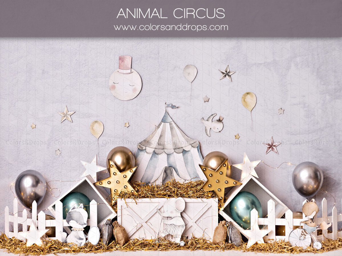 Fond photo bébé et smash cake Animal Circus – chapiteau de cirque en papier avec étoiles et ballons | Colors&Drops