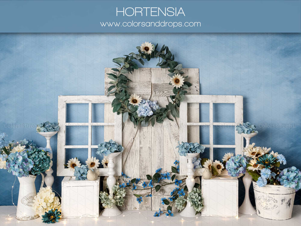 Fond photo bébé et smash cake Hortensia – fenêtres blanches avec hortensias bleus et couronne | Colors&Drops