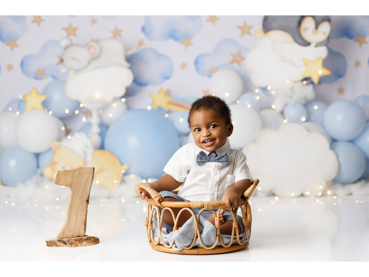 Baby & cake smash photo backdrop Cloud & Star – clouds and stars with blue balloons and plush toys | Colors&Drops
