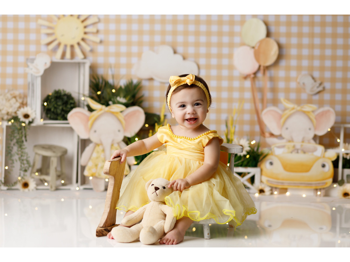 Fond photo bébé et smash cake Elephant – mur vichy pêche avec éléphants en peluche et soleil | Colors&Drops