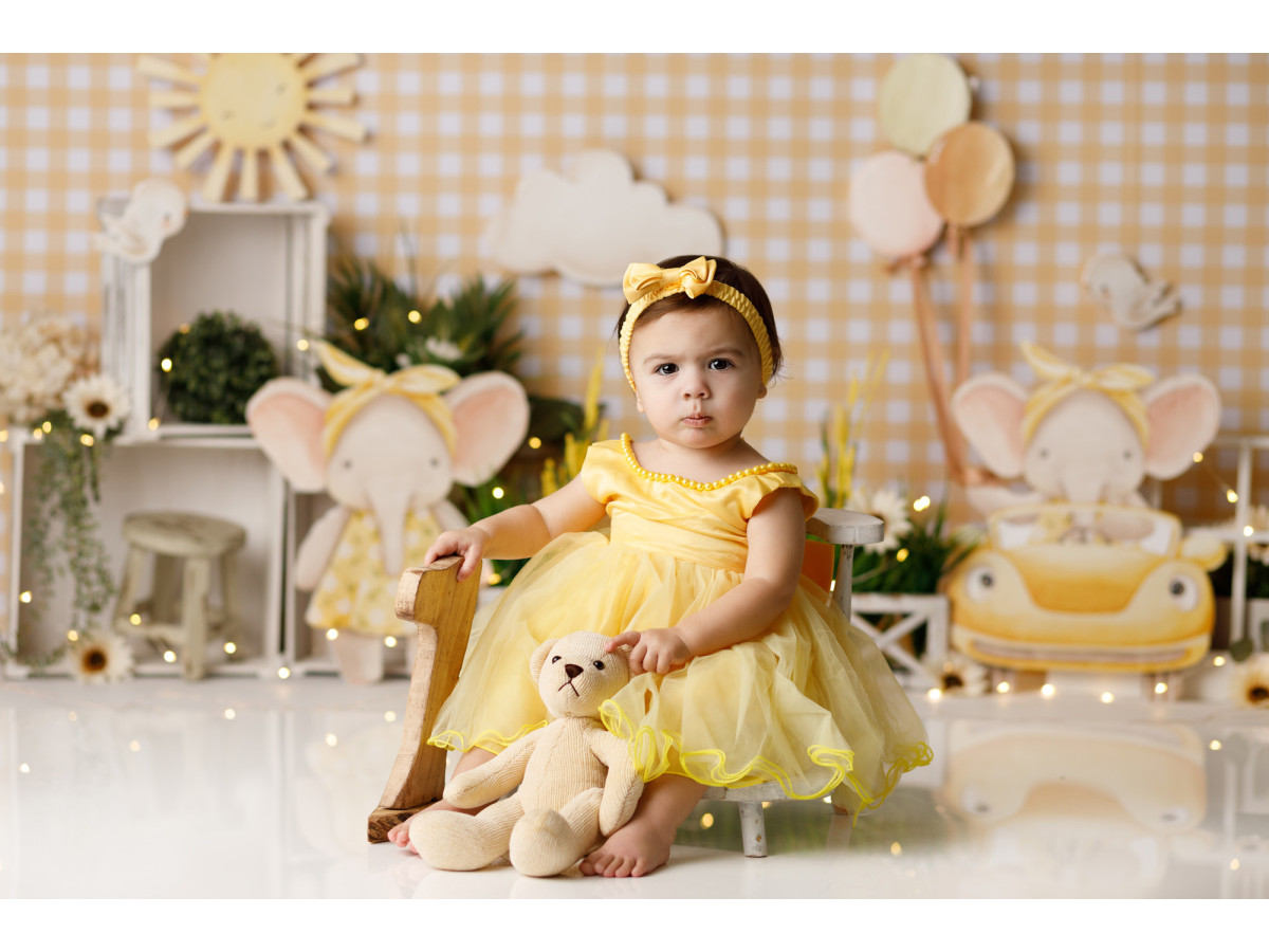 Fond photo bébé et smash cake Elephant – mur vichy pêche avec éléphants en peluche et soleil | Colors&Drops