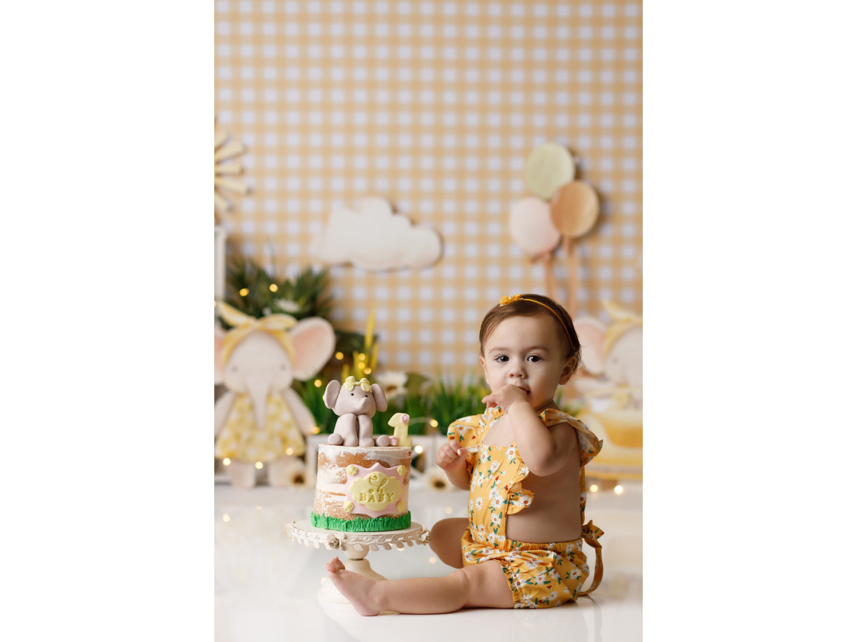 Fond photo bébé et smash cake Elephant – mur vichy pêche avec éléphants en peluche et soleil | Colors&Drops