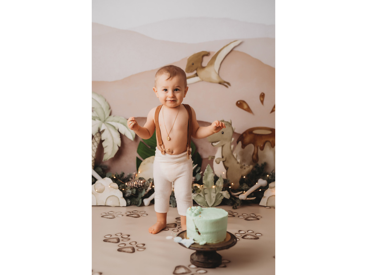 Fondo fotográfico de bebé y smash cake Vinty Dino – colinas pastel con dinosaurios y palmeras | Colors&Drops
