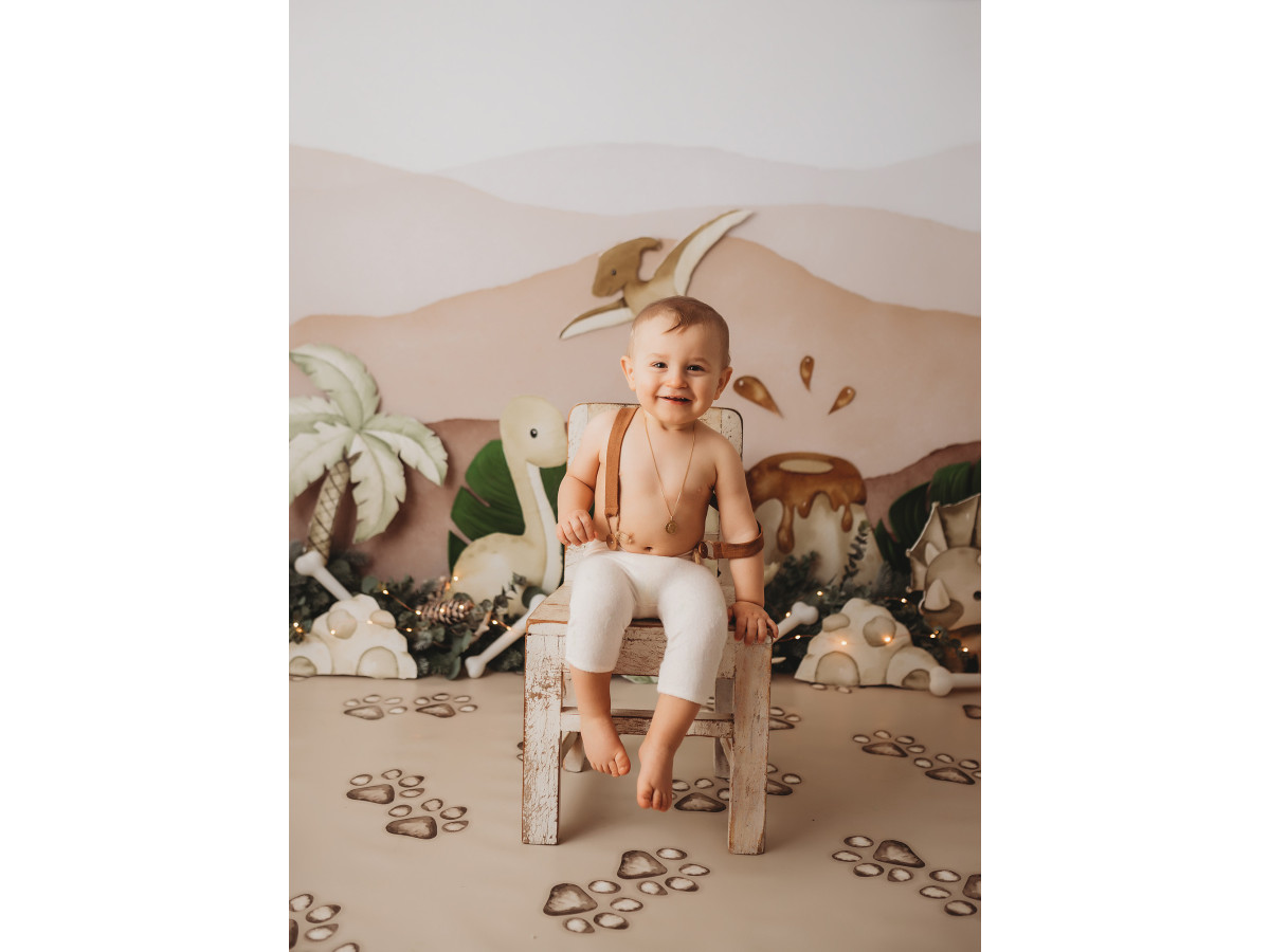 Fondo fotográfico de bebé y smash cake Vinty Dino – colinas pastel con dinosaurios y palmeras | Colors&Drops