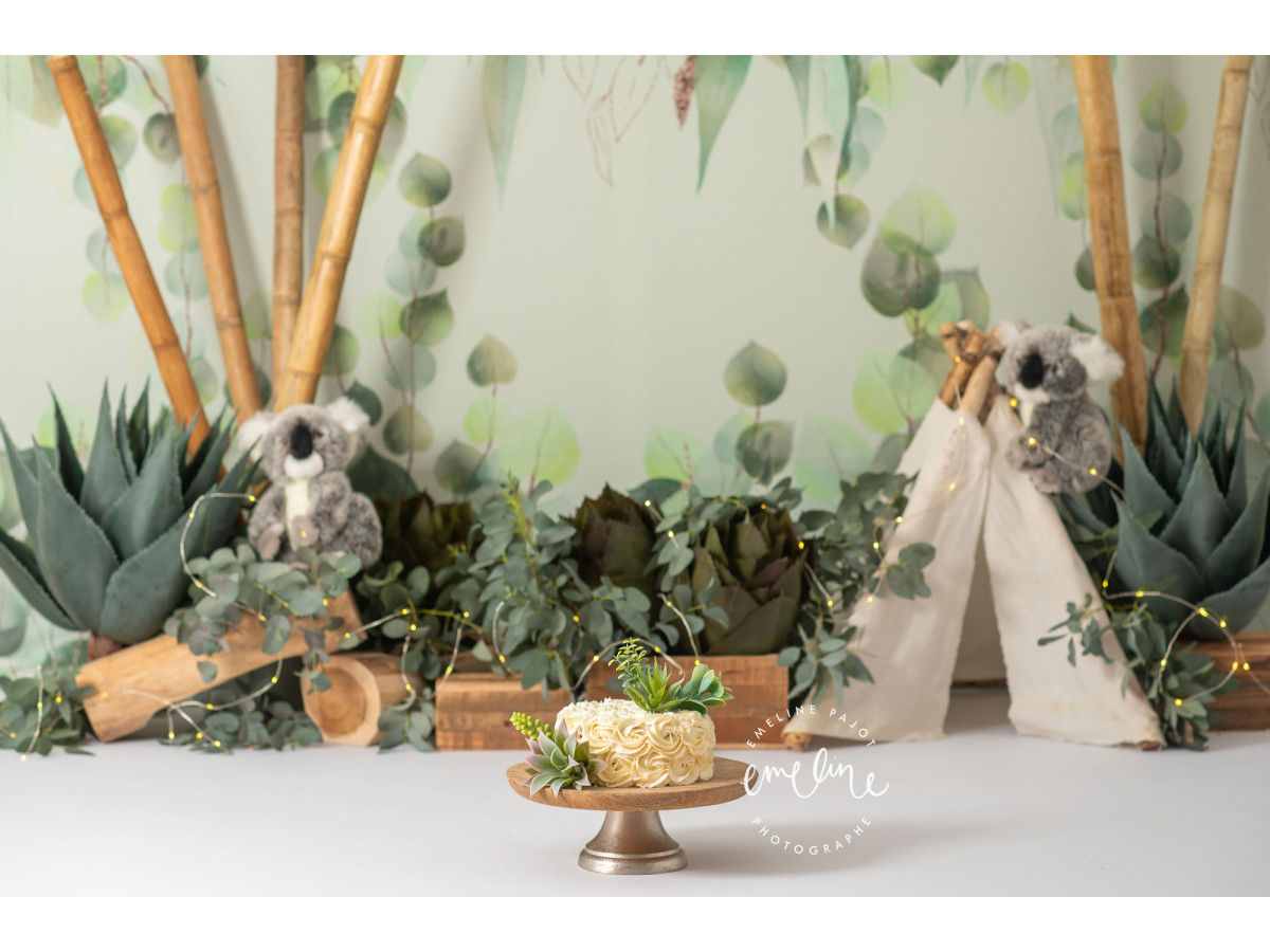 Fond photo bébé et smash cake Australia – décor Australie avec bambous, koalas et tipi | Colors&Drops