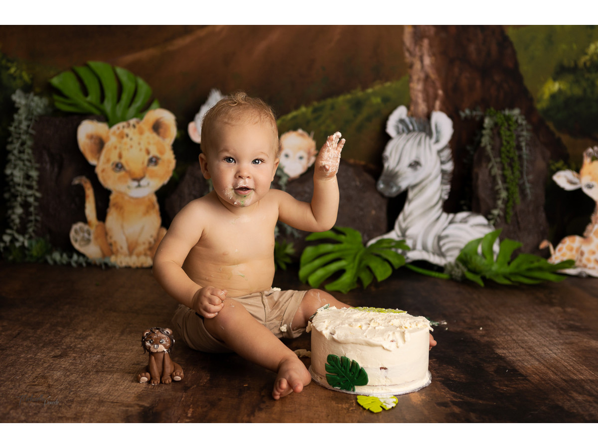 Baby & cake smash photo backdrop Petit Lion – savanna at sunset with lion cub, zebra and giraffe | Colors&Drops