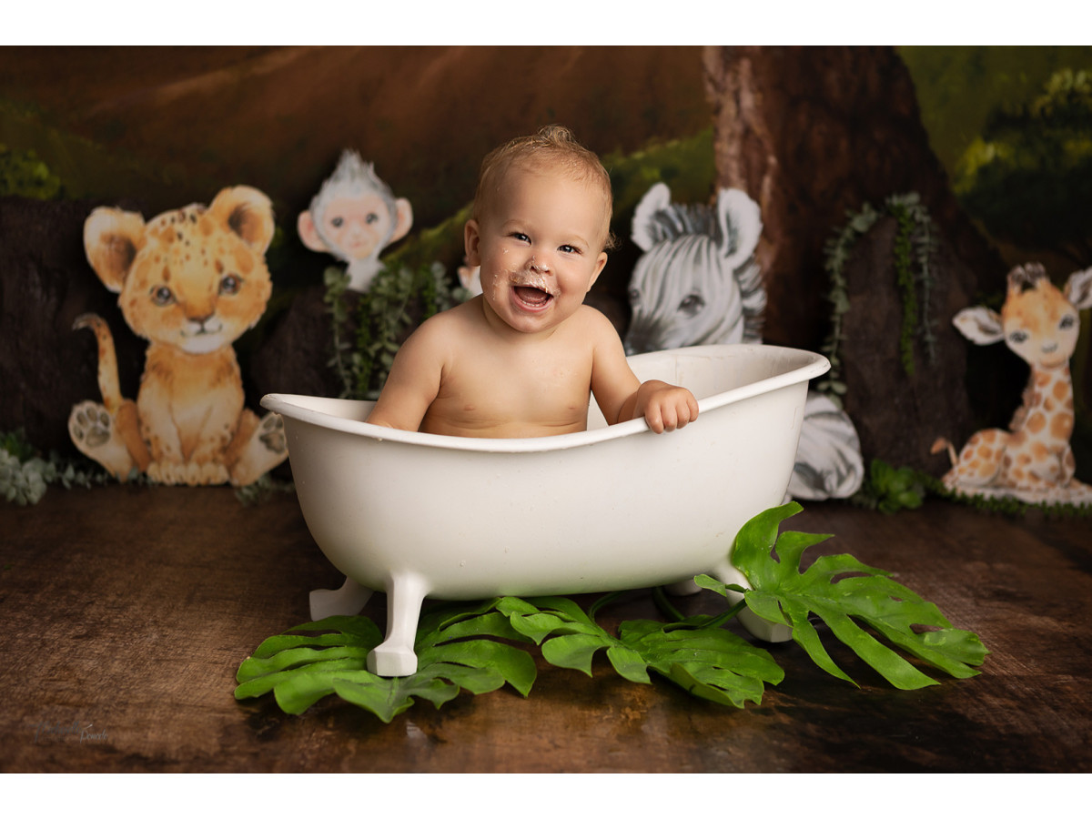Baby & cake smash photo backdrop Petit Lion – savanna at sunset with lion cub, zebra and giraffe | Colors&Drops