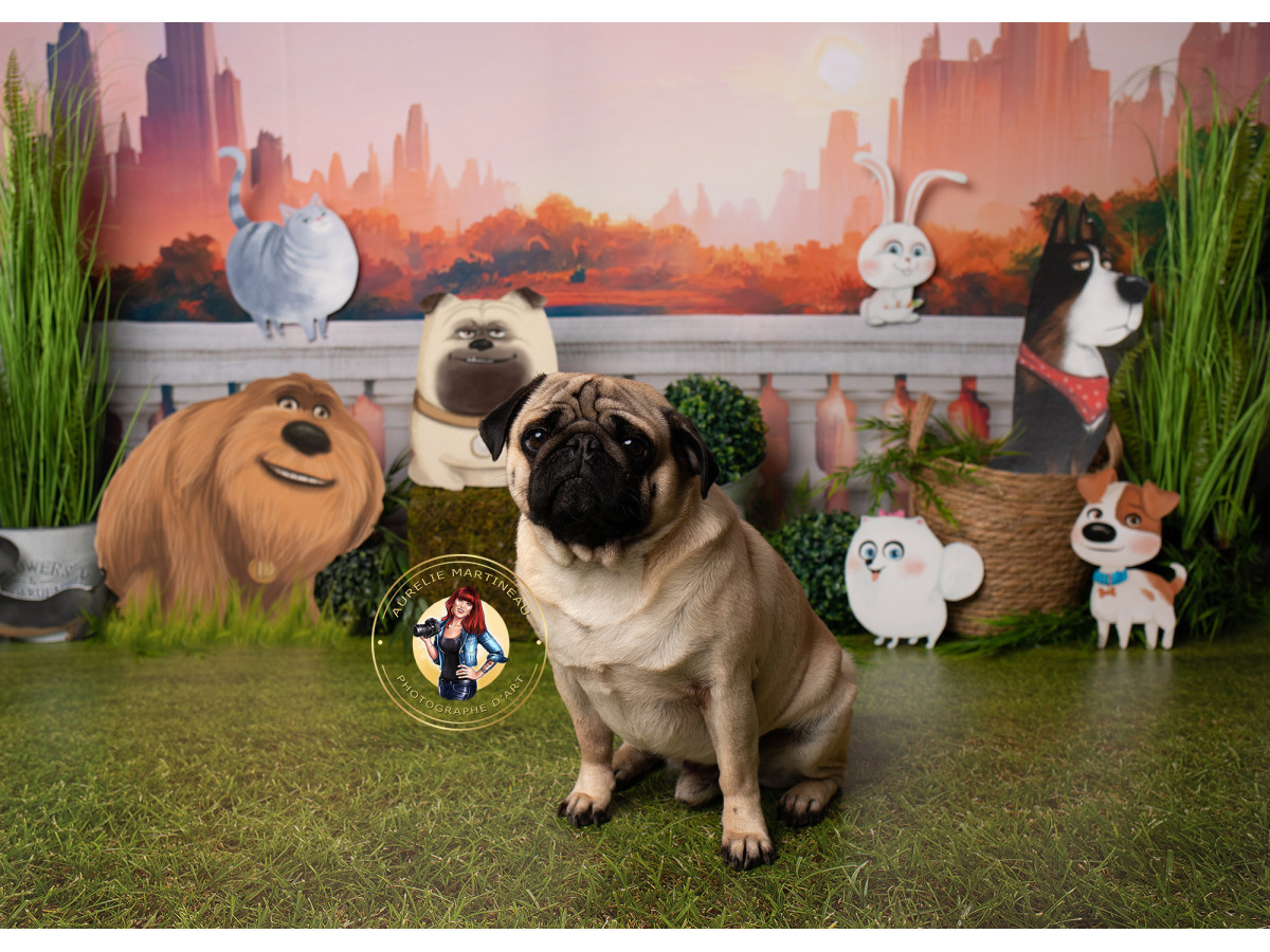 Baby & cake smash photo backdrop Woaf – city at sunset with pets | Colors&Drops