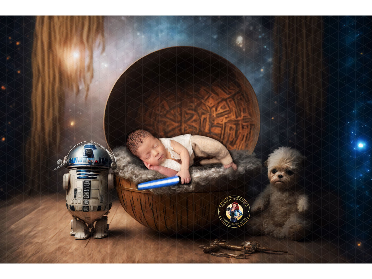 X4 WALKER DIGITAL BUNDLE