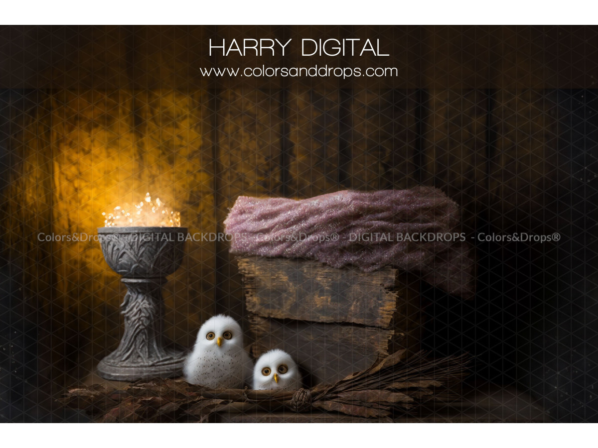 HARRY DIGITAL BUNDLE