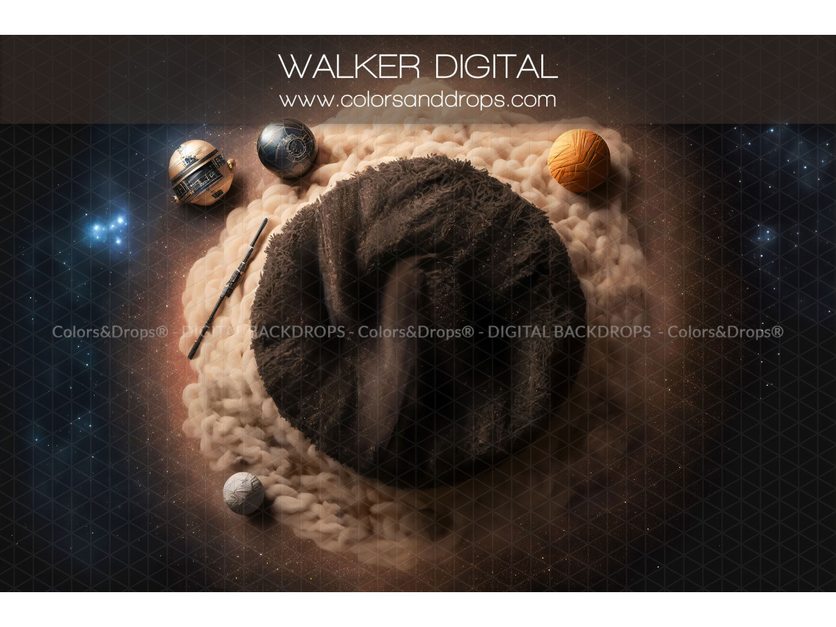 WALKER DIGITAL