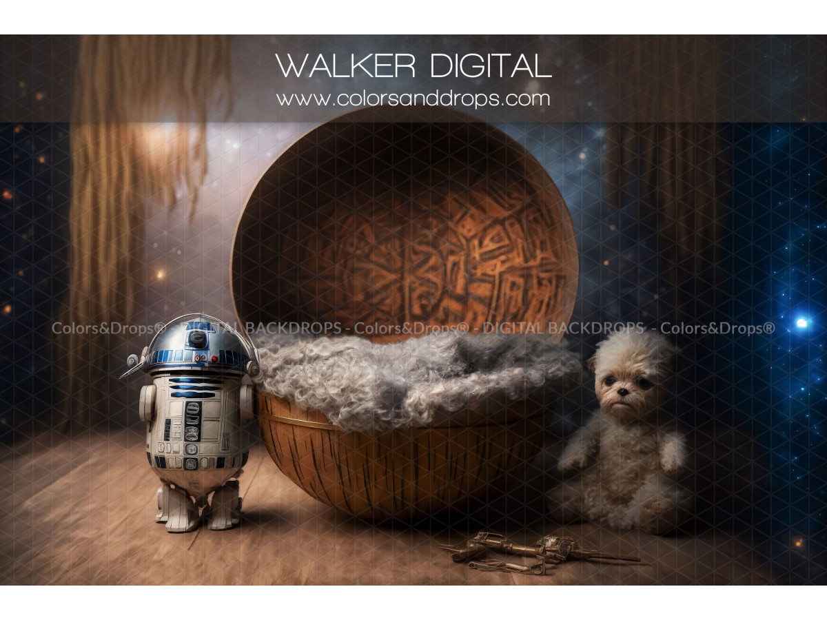 WALKER DIGITAL