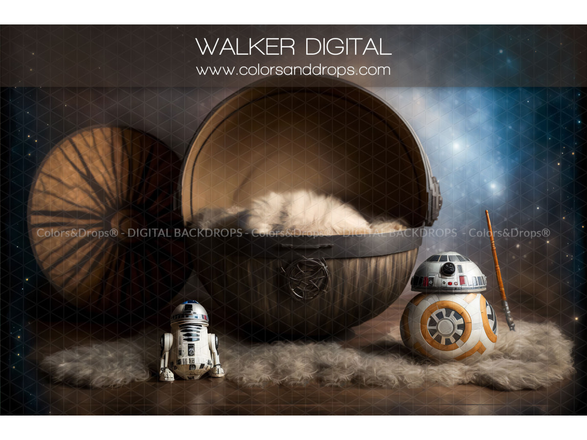 WALKER DIGITAL