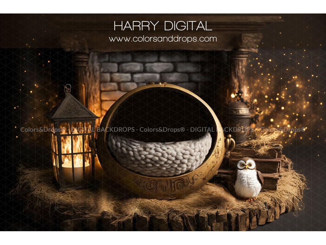 HARRY DIGITAL