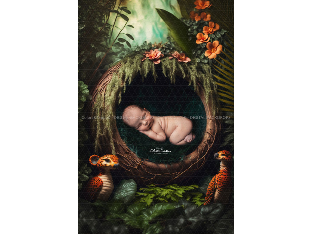 CONUT DIGITAL