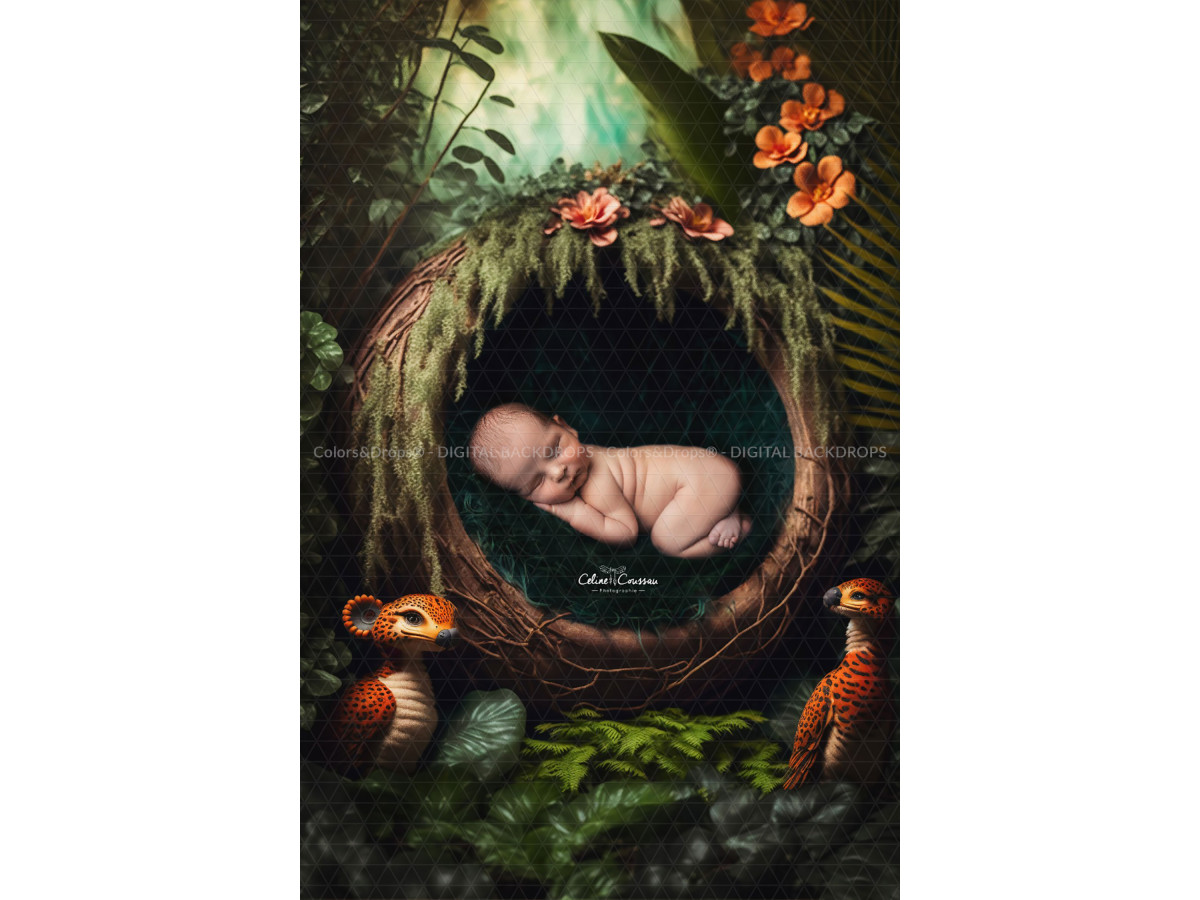 CONUT DIGITAL