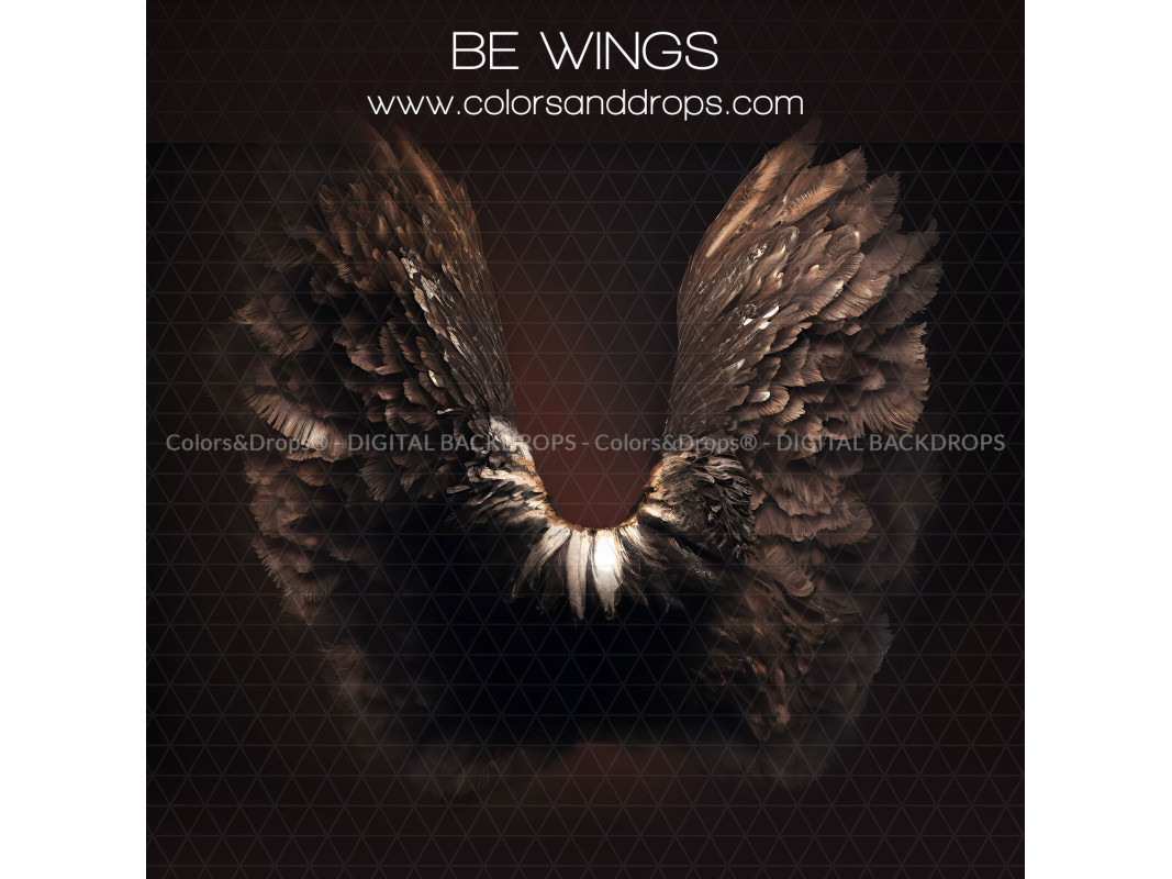 X4 BE WINGS DIGITAL BUNDLE