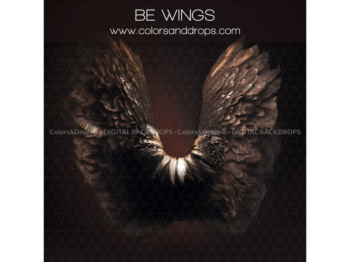 X4 BE WINGS DIGITAL BUNDLE