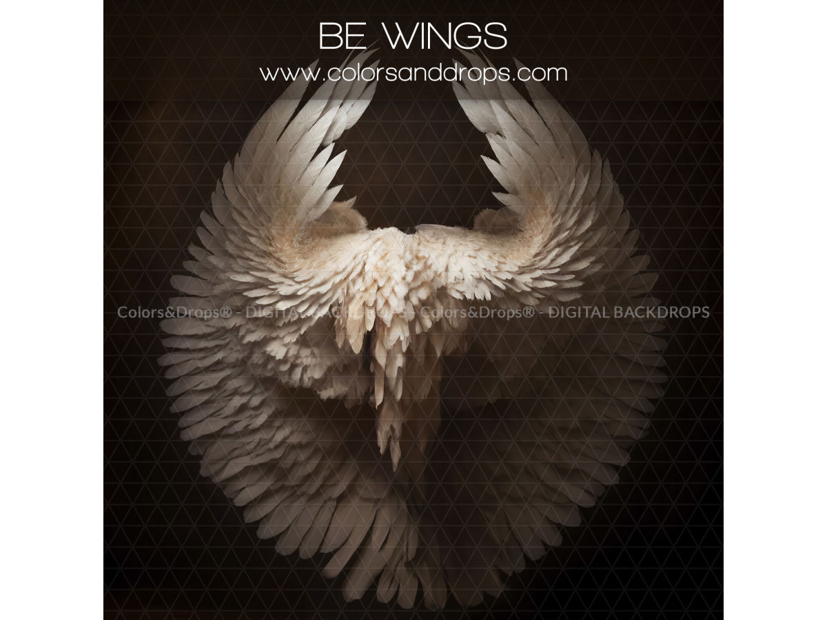 X5 BE WINGS DIGITAL BUNDLE