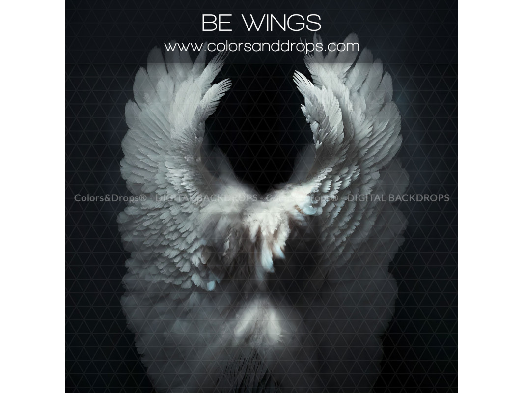 X5 BE WINGS DIGITAL BUNDLE