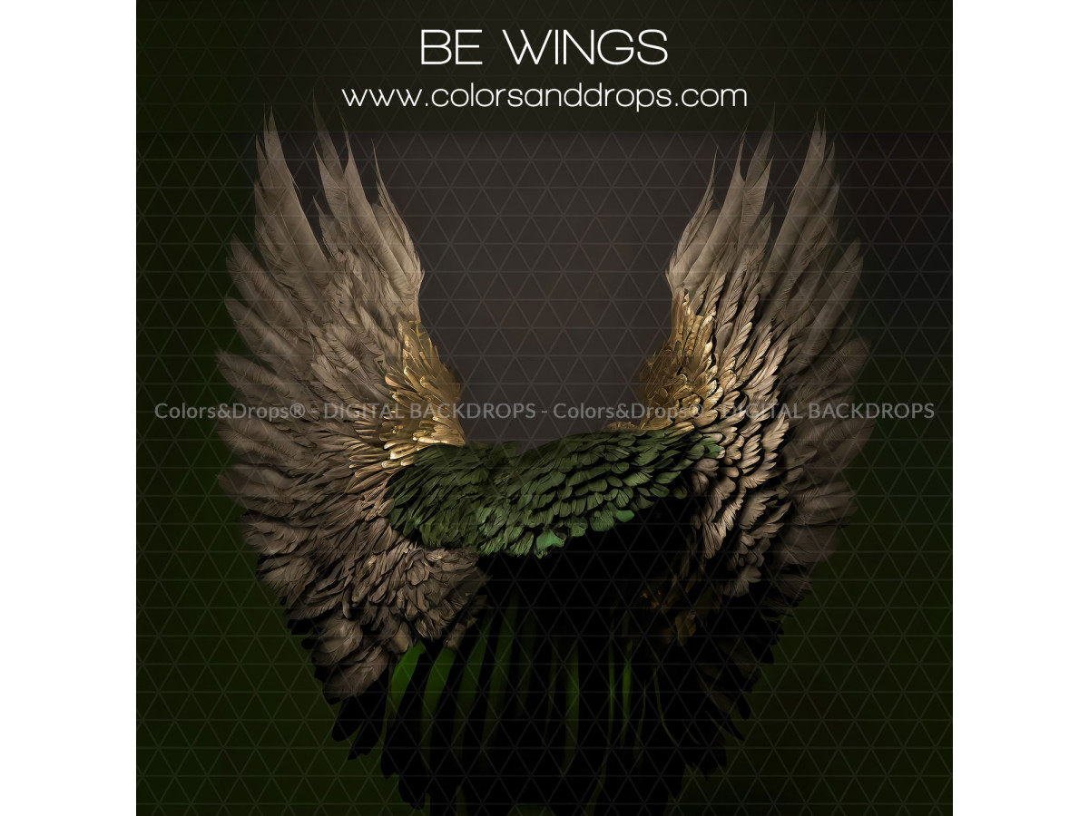 X4 BE WINGS DIGITAL BUNDLE