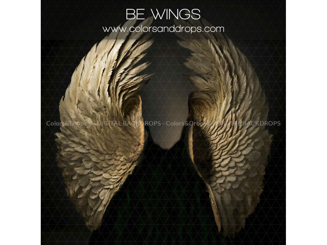 X13 BE WINGS DIGITAL BUNDLE