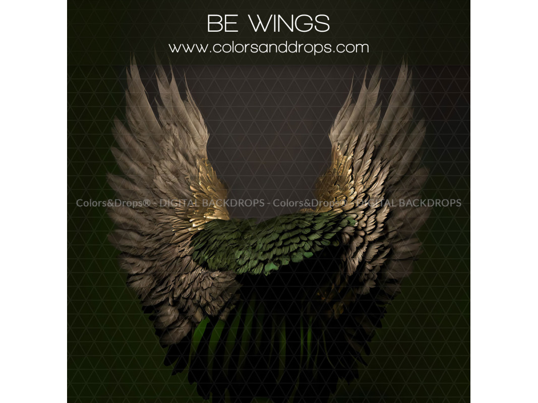 X13 BE WINGS DIGITAL BUNDLE