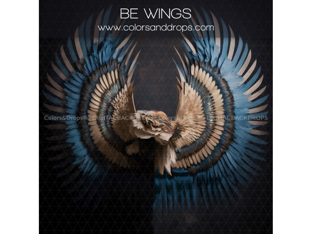 X13 BE WINGS DIGITAL BUNDLE