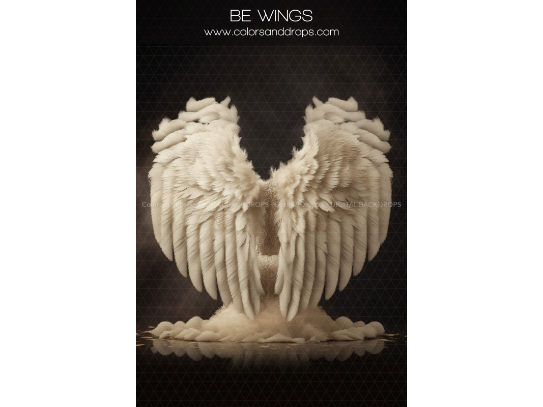 X13 BE WINGS DIGITAL BUNDLE