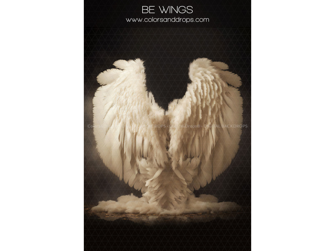 X13 BE WINGS DIGITAL BUNDLE
