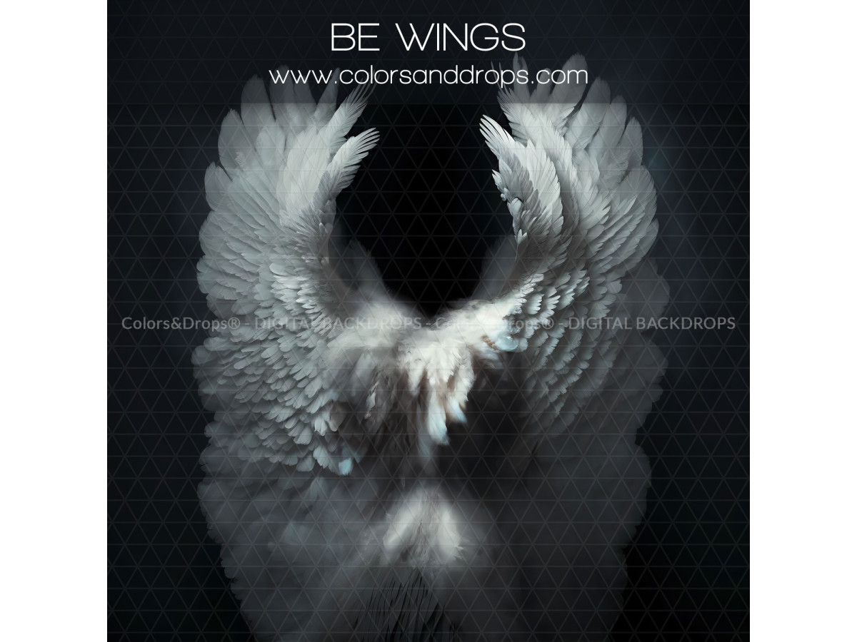 X13 BE WINGS DIGITAL BUNDLE