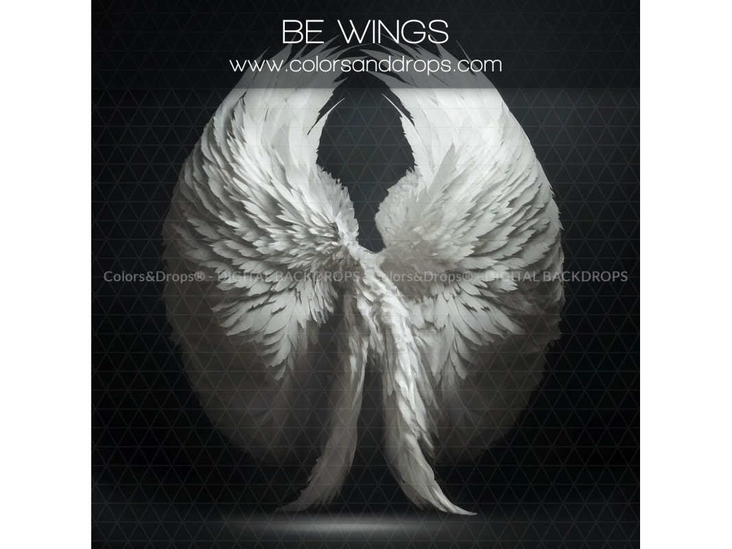 X13 BE WINGS DIGITAL BUNDLE