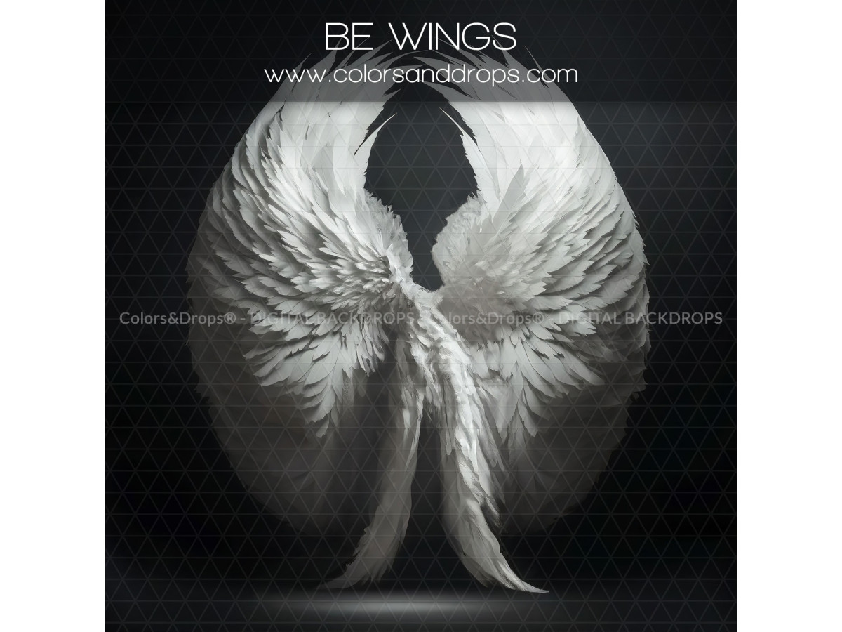 X13 BE WINGS DIGITAL BUNDLE