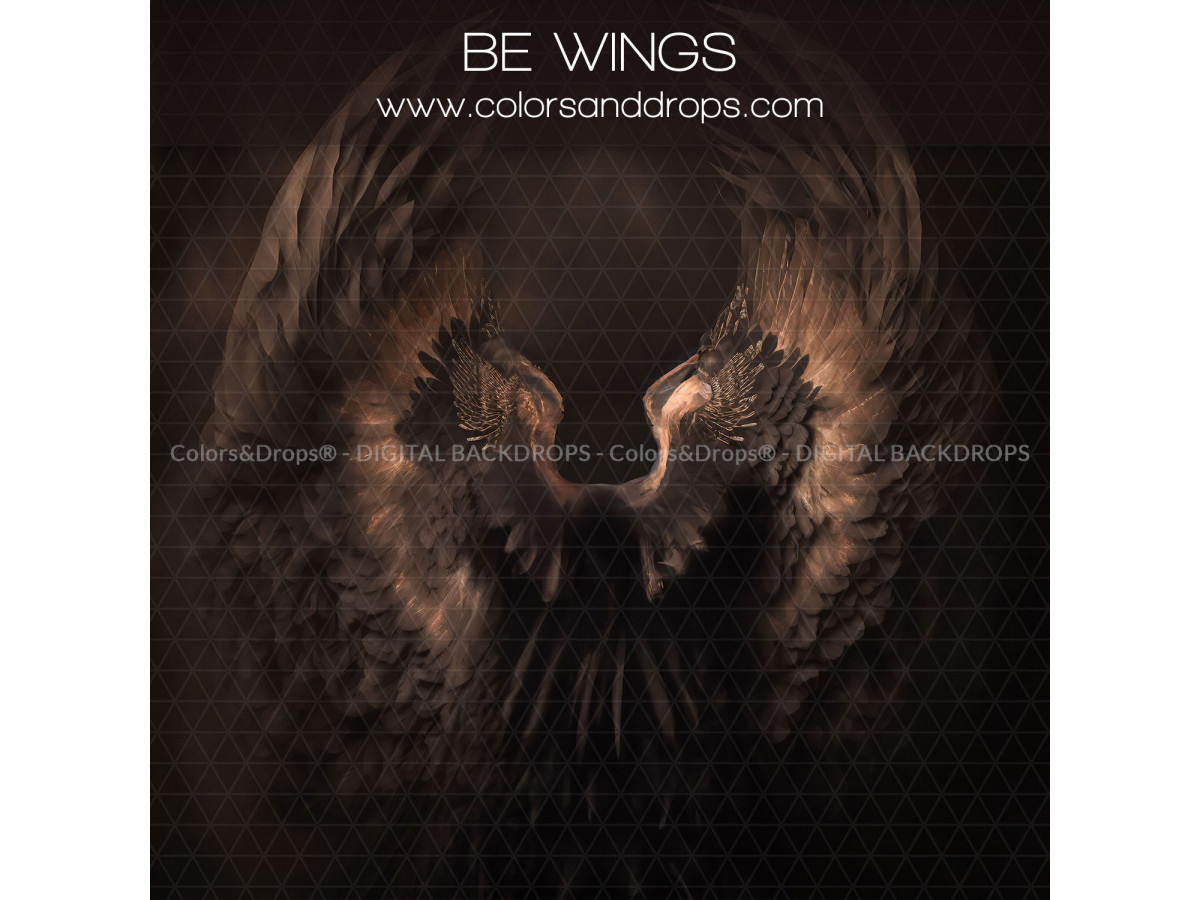 X13 BE WINGS DIGITAL BUNDLE