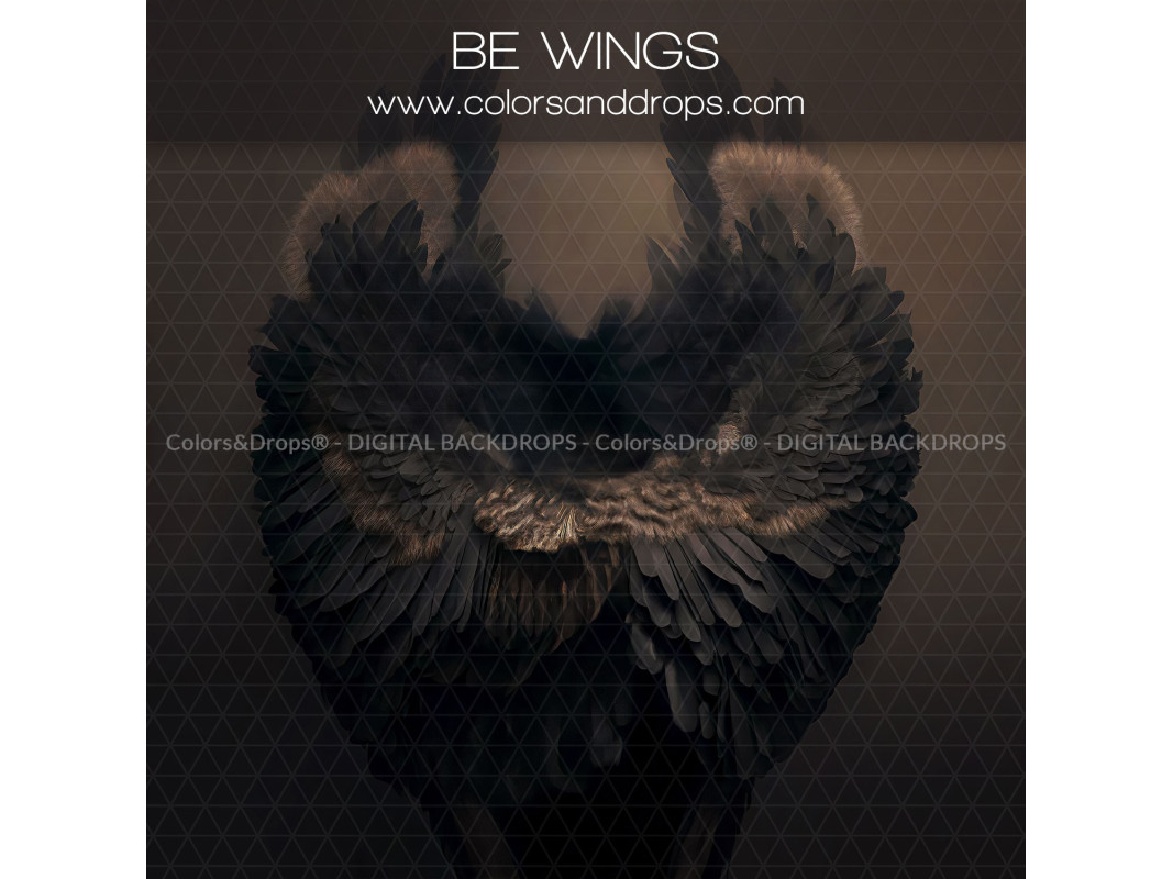 X13 BE WINGS DIGITAL BUNDLE