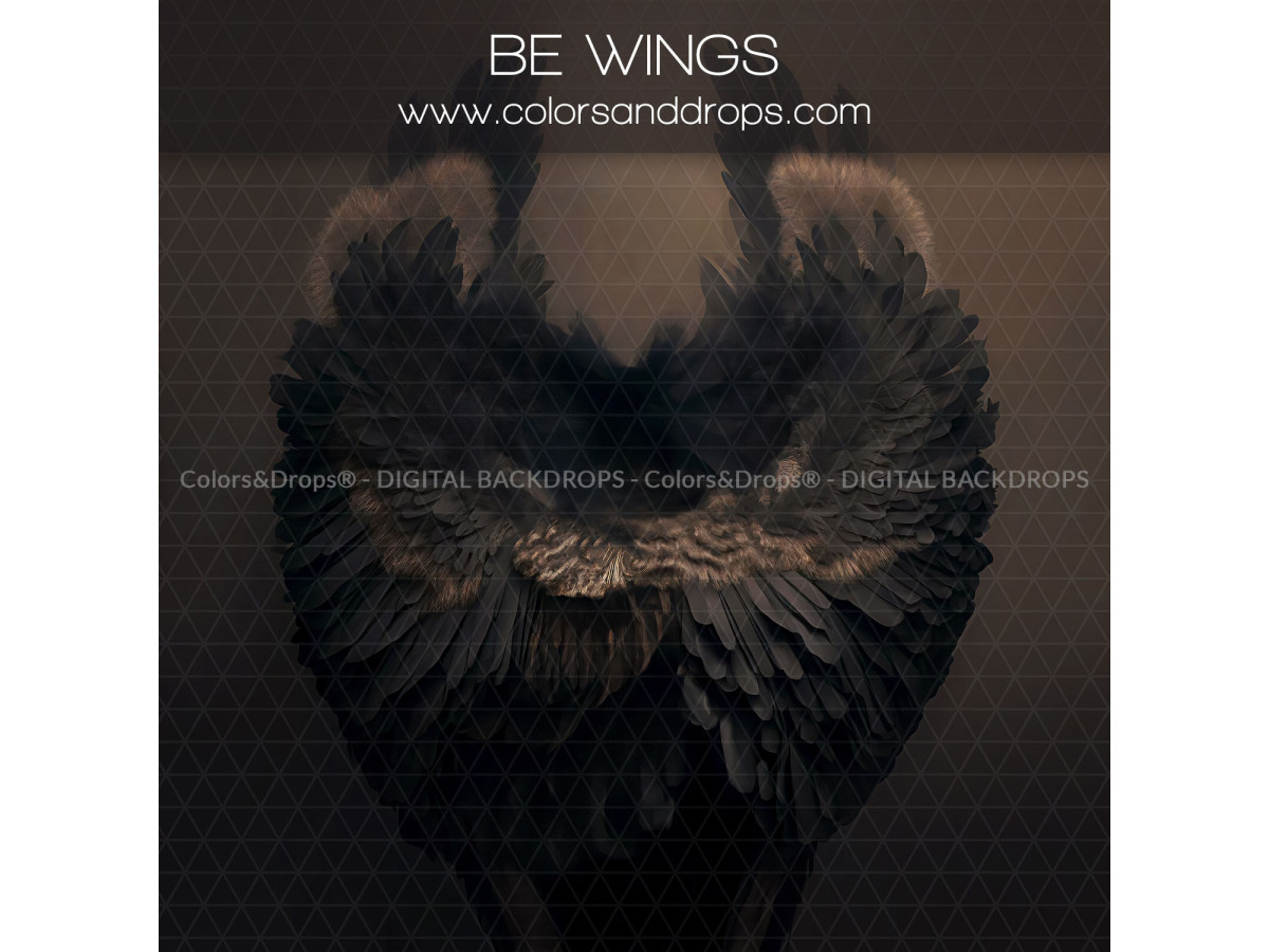 X13 BE WINGS DIGITAL BUNDLE
