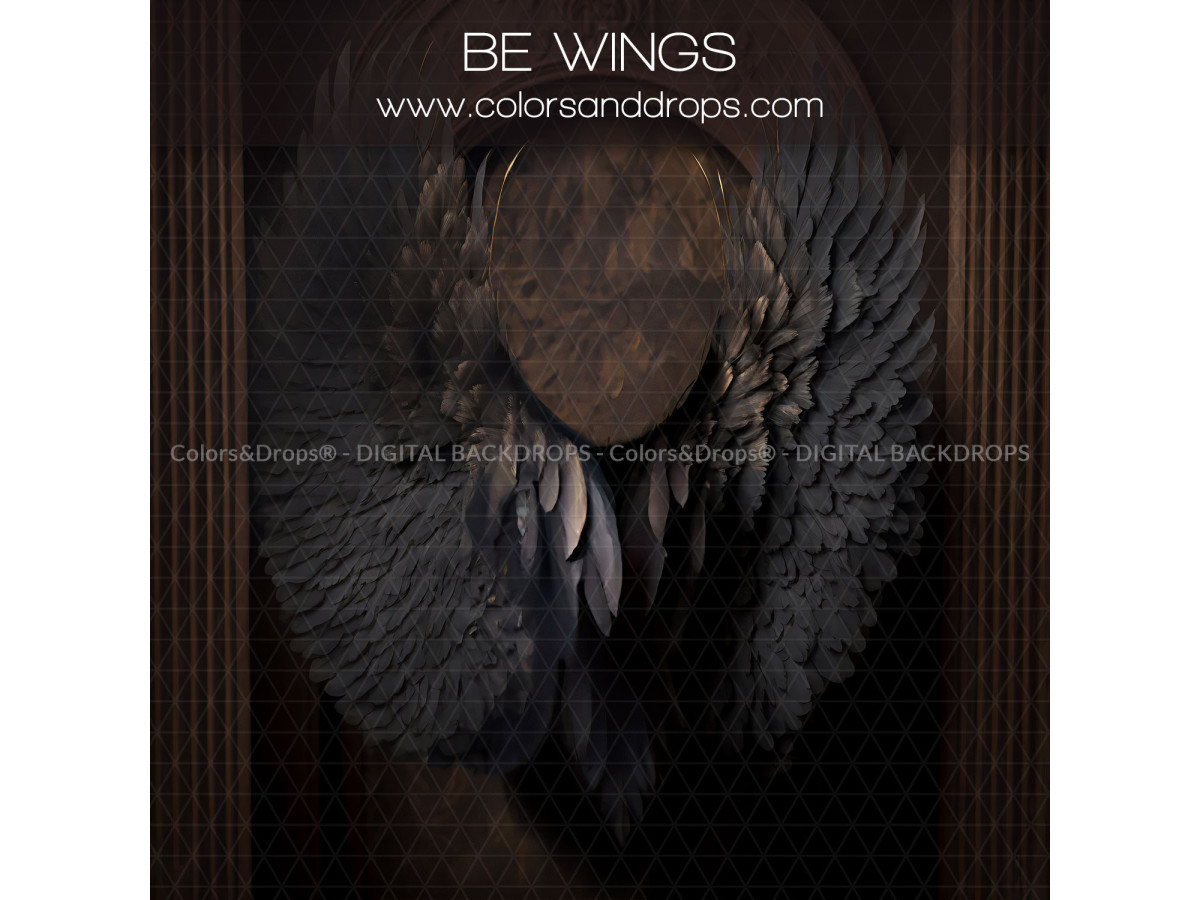 X13 BE WINGS DIGITAL BUNDLE